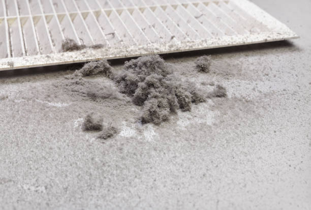 Best HVAC Duct Inspection Services  in Sewanee, TN